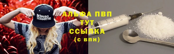 индика Алексеевка