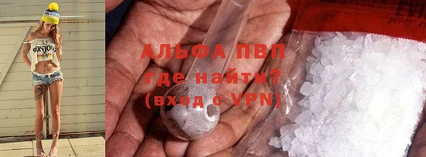 индика Алексеевка