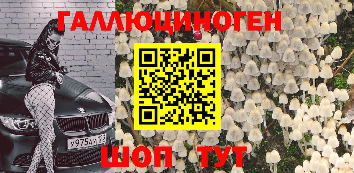 Псилоцибиновые грибы Cubensis  Псилоцибиновые грибы Cubensis  Вход с VPN  Невинномысск 